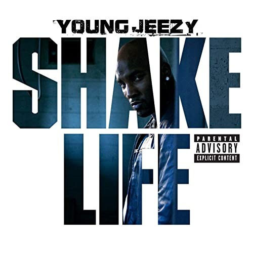 Shake Life封面