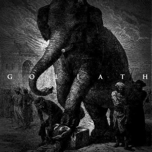 Goliath封面