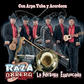 La persona equivocada封面