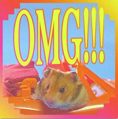 OMG!!!封面