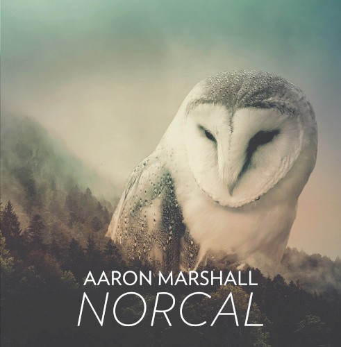NorCal封面