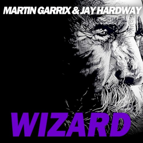 Wizard封面