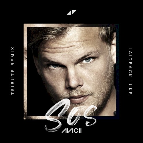SOS (Laidback Luke Tribute remix)封面