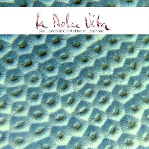 La Dolce Vita (live in Lausanne)封面