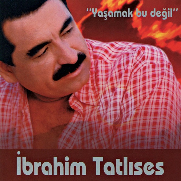 Yaşamak Bu Değil封面