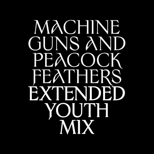 Machine Guns and Peacock Feathers (Extended Youth mix)封面