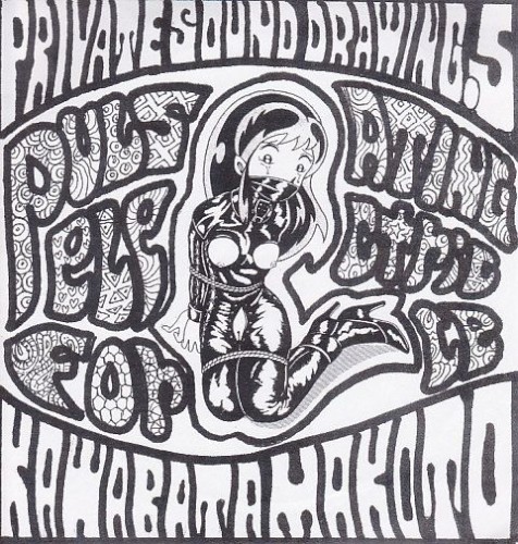 Private Sound Drawing, Volume 5: Pulsating Electric Force封面