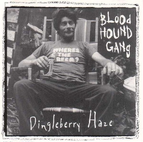 Dingleberry Haze封面