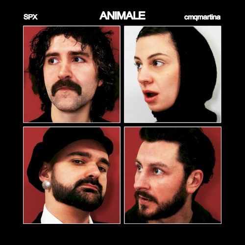 ANIMALE封面