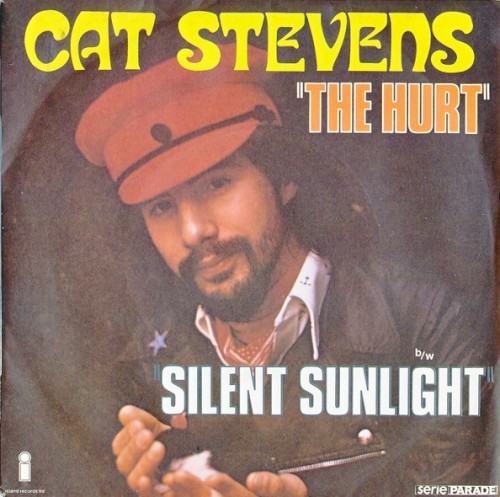 The Hurt / Silent Sunlight封面