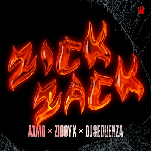 Zick Zack封面