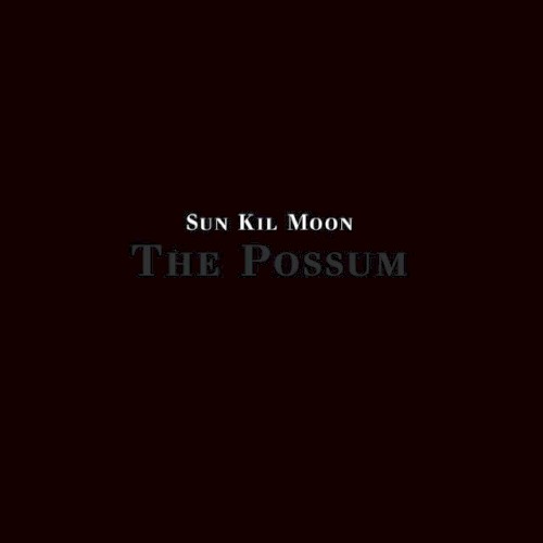 The Possum封面