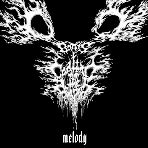 Melody封面