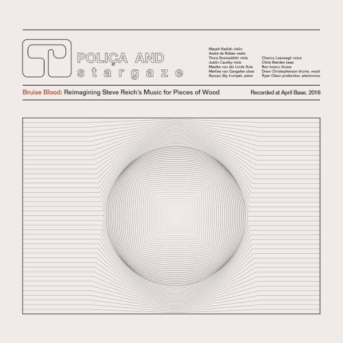 Bruise Blood: Reimagining Steve Reich's Music for Pieces of Wood封面