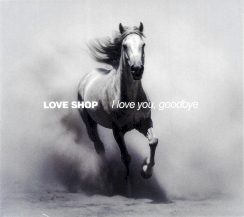 I love you, goodbye封面