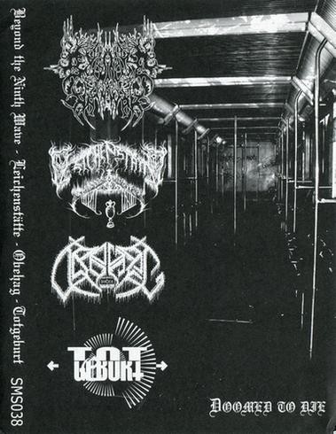 Doomed to Die封面