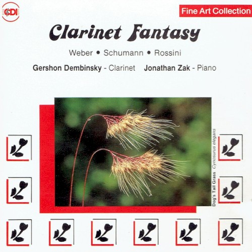 Clarinet Fantasy封面