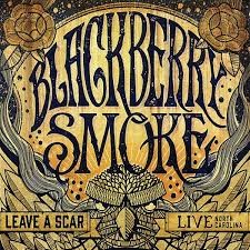 Leave a Scar Live: North Carolina封面