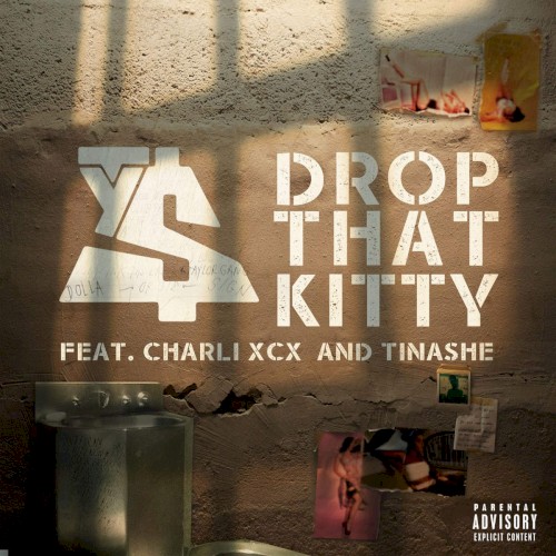 Drop That Kitty封面