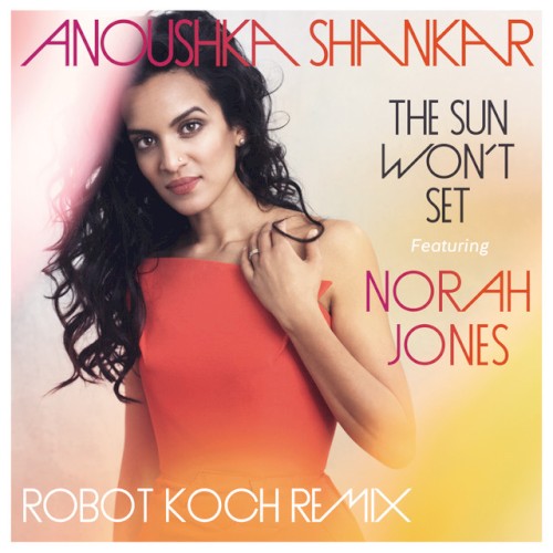 The Sun Won't Set (Robot Koch Remix)封面