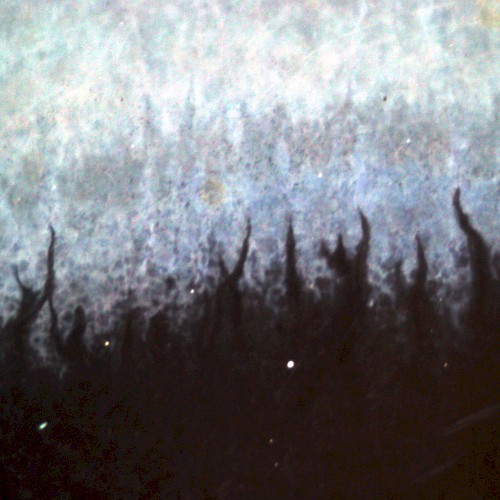 Scars of the Shattered Sky封面