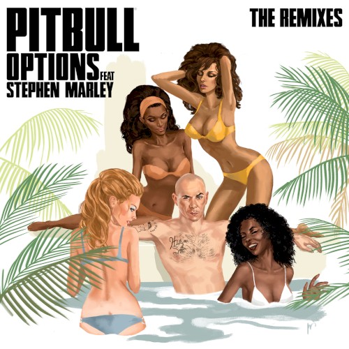 Options (The Remixes)封面