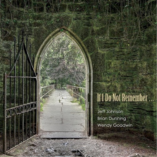 If I Do Not Remember…封面