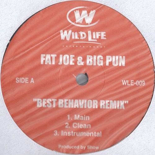 Best Behaviour (remix) / My Life’s on the Edge封面