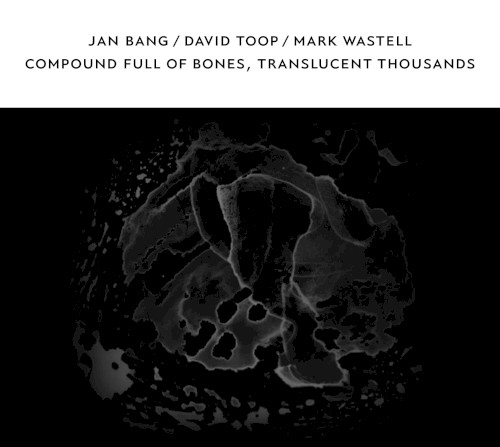 Compound Full of Bones, Translucent Thousands封面