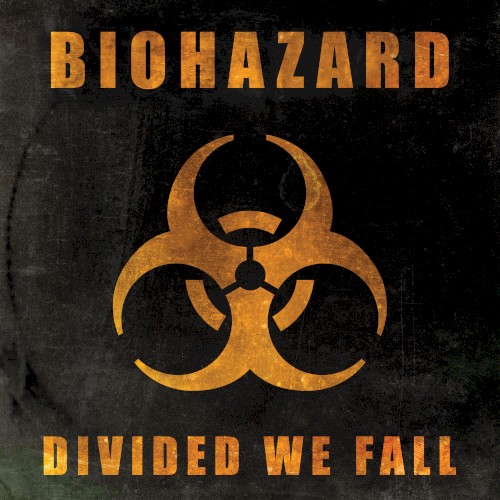 Divided We Fall封面