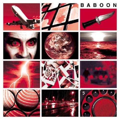 Baboon封面