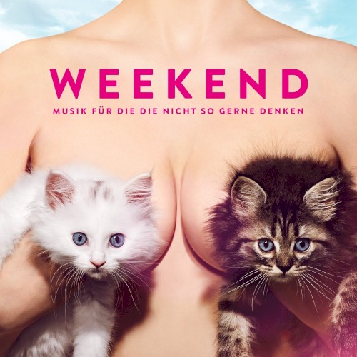 Musik für die die nicht so gerne denken封面