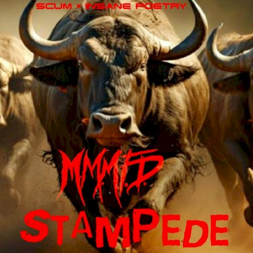 Stampede封面