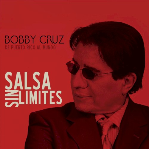Salsa sin límites封面