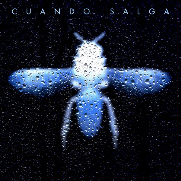 Cuando salga封面