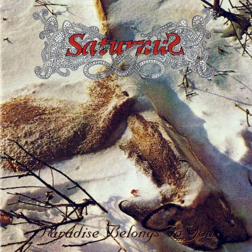 Paradise Belongs to You封面