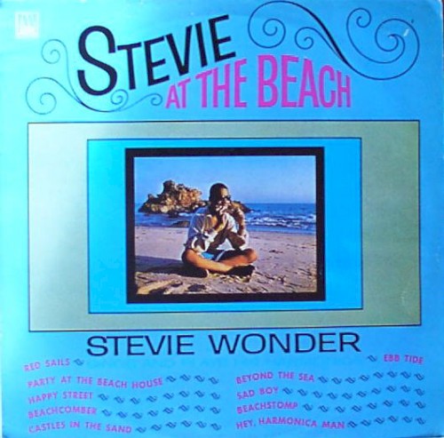 Stevie at the Beach封面
