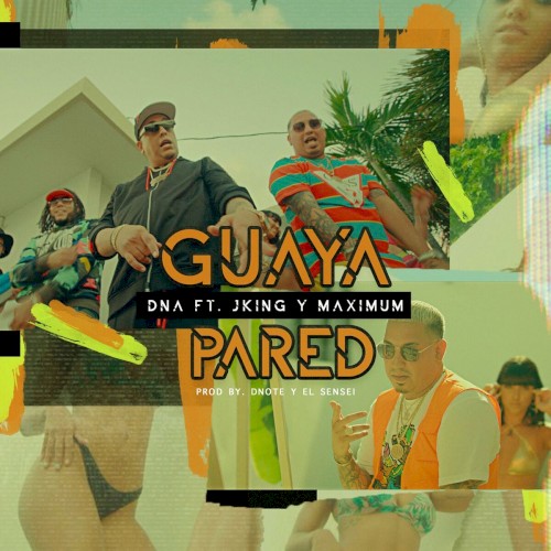 Guaya pared封面