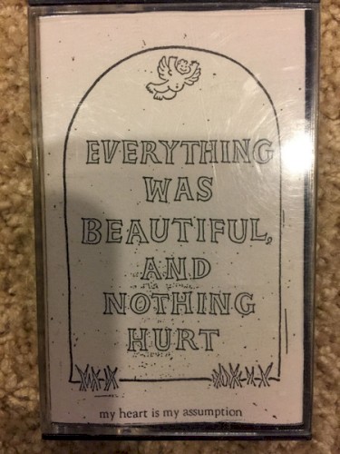 Everything Was Beautiful And Nothing Hurt封面