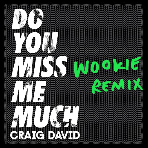 Do You Miss Me Much (Wookie Remix)封面