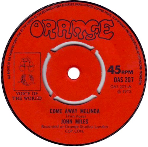 Come Away Melinda封面
