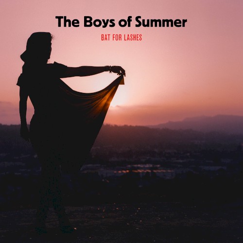 The Boys of Summer封面