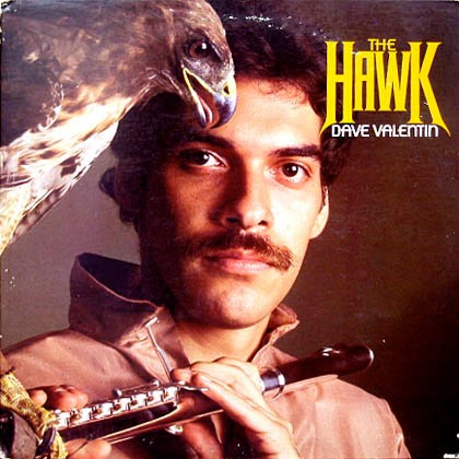 The Hawk封面