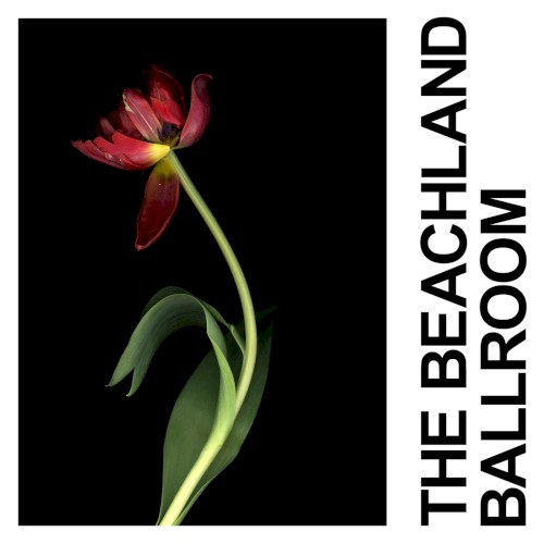The Beachland Ballroom封面