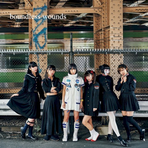 boundless wounds封面