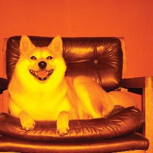 Orange封面
