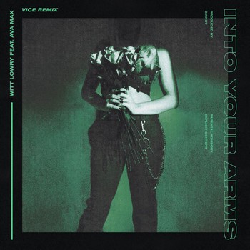 Into Your Arms (Vice remix)封面