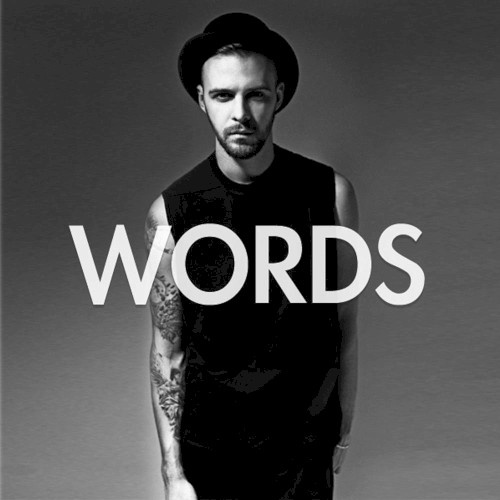 Words封面