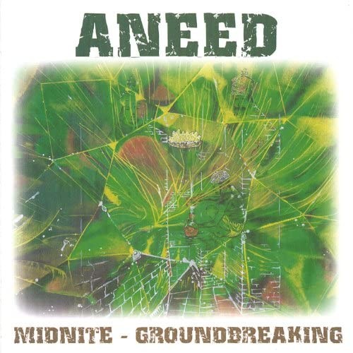 Aneed封面