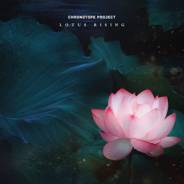 Lotus Rising封面